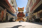 汤姆猫激情挑战跑酷表演赛：梦想与惊喜的体验之旅