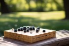 五子棋：智慧挑战与激情体验之旅